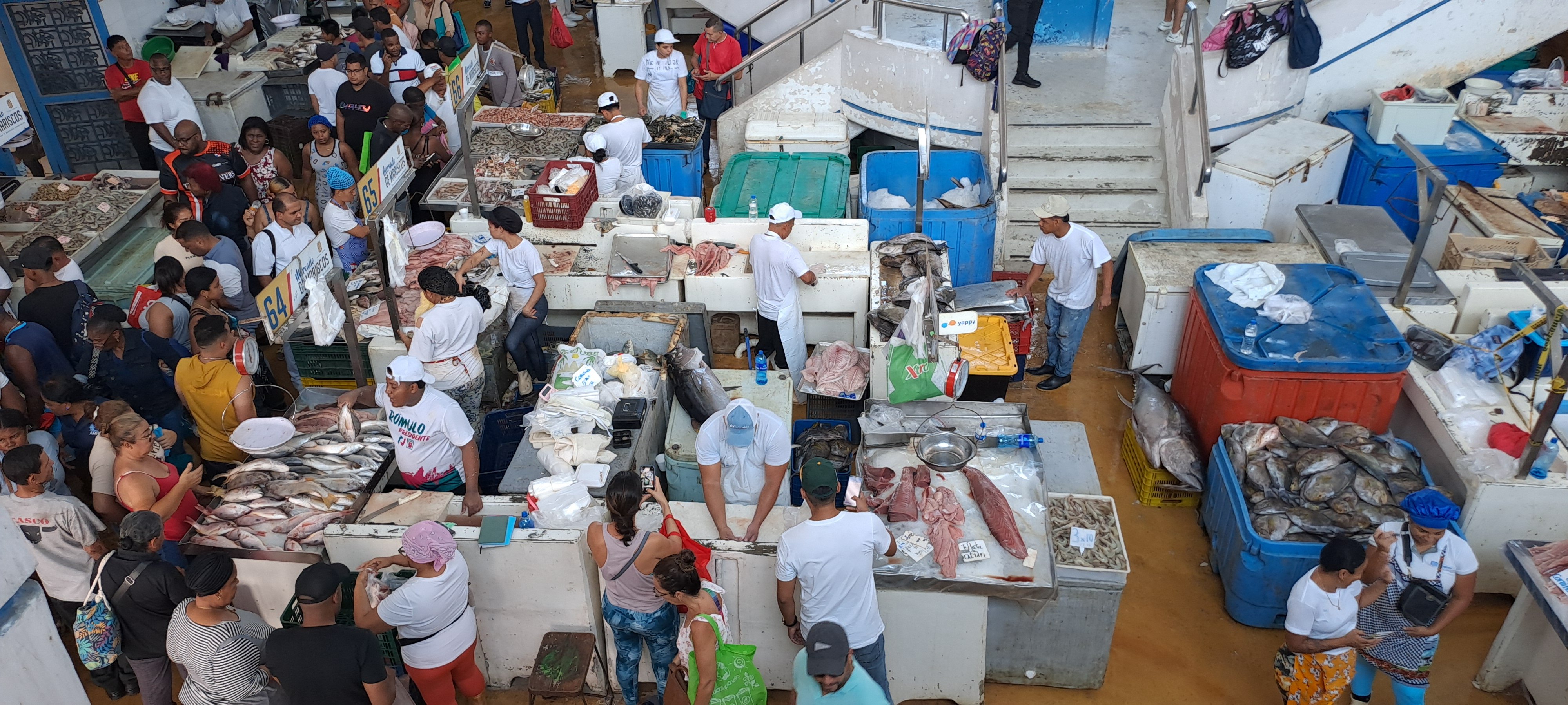 20250417 marché aux poissons